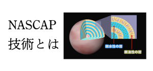 NASCAP技術とは